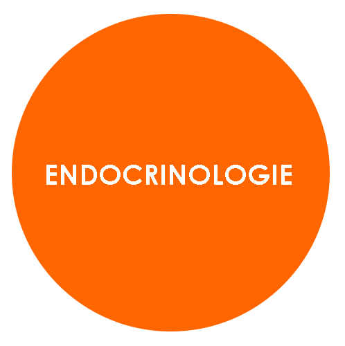 endocrinologie