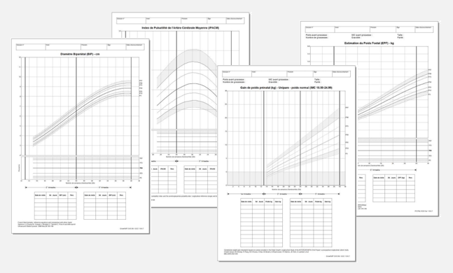 BE-prenatal-group-of-charts-gray